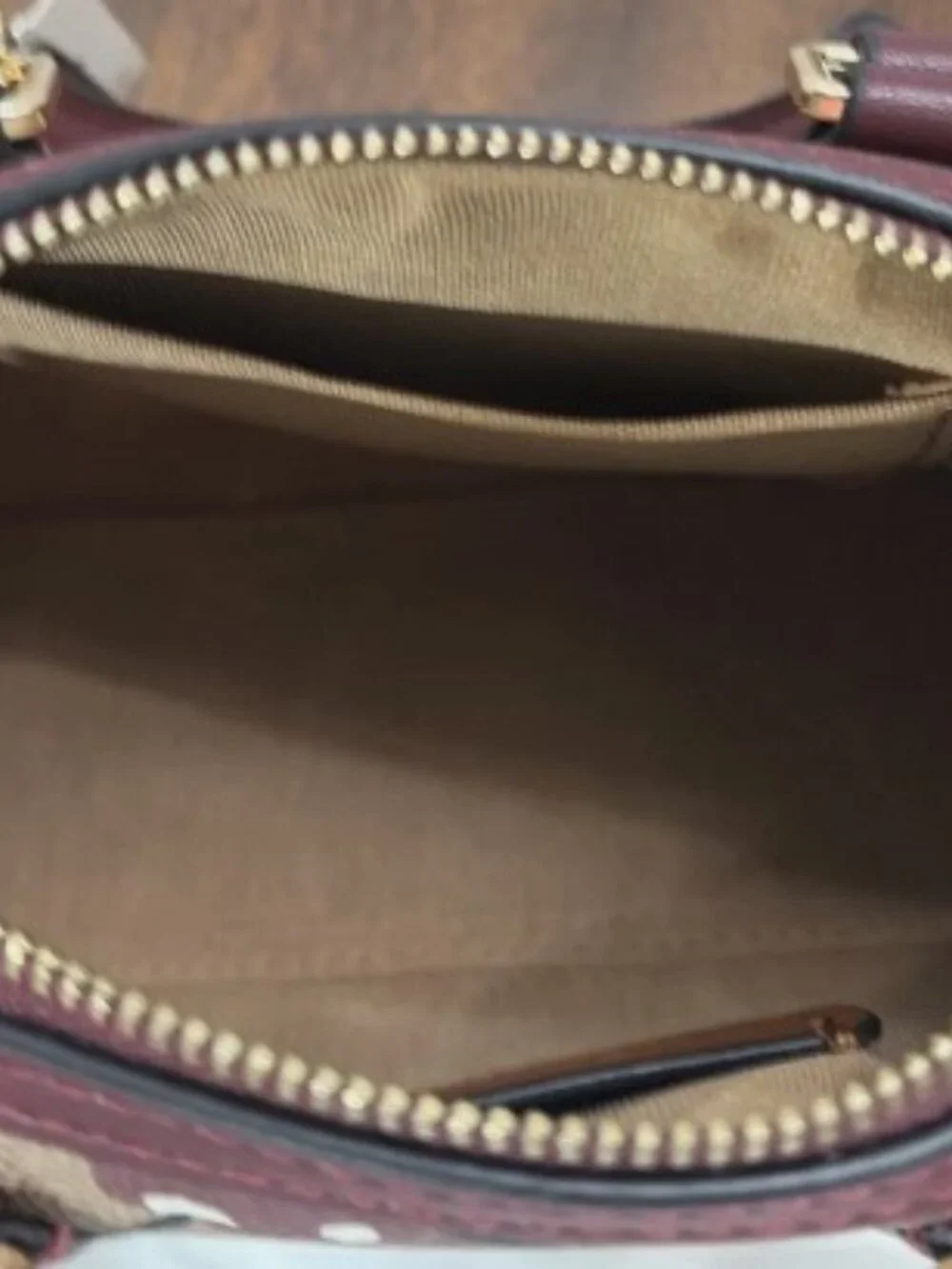 NWT COACH Rowan mini–Satchel Bag In Signature Canvas with Cherry Print - Picture 2 of 9